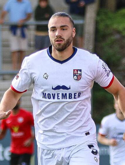 Luis Fernandez (footballer, born 2001) - Wikipedia