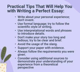tips perfect essay