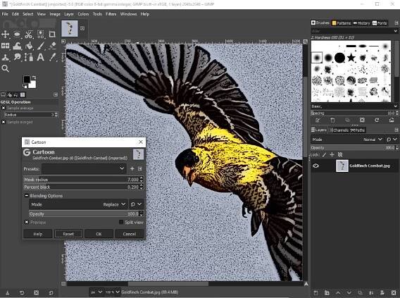 2 Quick Ways to Turn a Photo into a Cartoon in GIMP