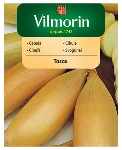 Vilmorin Cibule jarní 'Tosca'