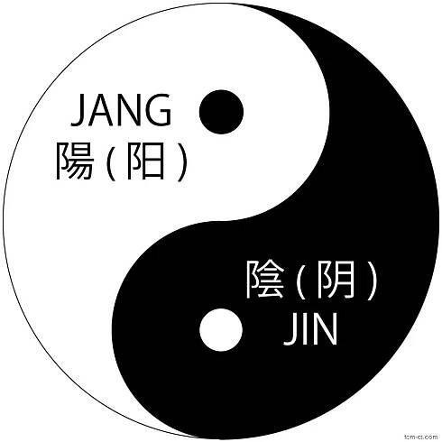 Jin jang (Yin yang)