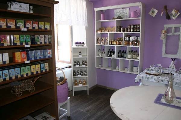 Levandulová kavárna zábřeh | Levandulová farma