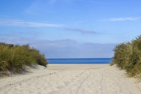 Cesta přes duny, Renesse, Zeeland, Nizozemsko — Stock obrázek