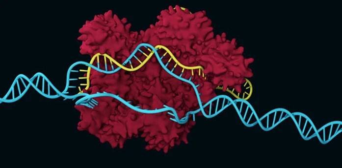 CRISPR-Cas9 stock fotka
