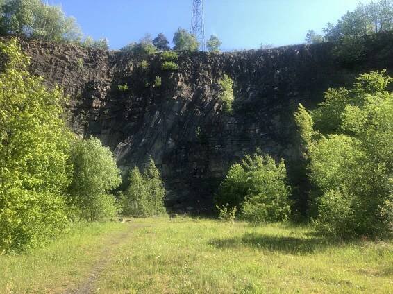 Kvinta na botanické exkurzi