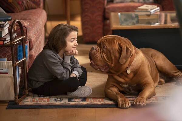 Turner a Hooch - Hooch Machina (E11) (2021)