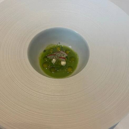 SALABKA, Prague - Praha-Troja - Menu, Prices & Restaurant Reviews - Tripadvisor