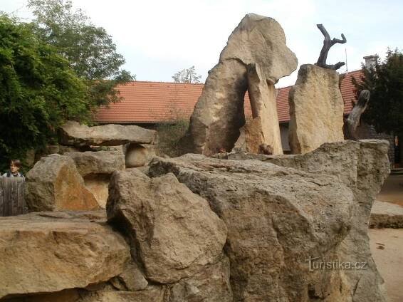 Praha, ZOO Troja