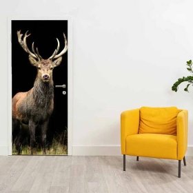 Fototapeta na dveře - krásný jelen