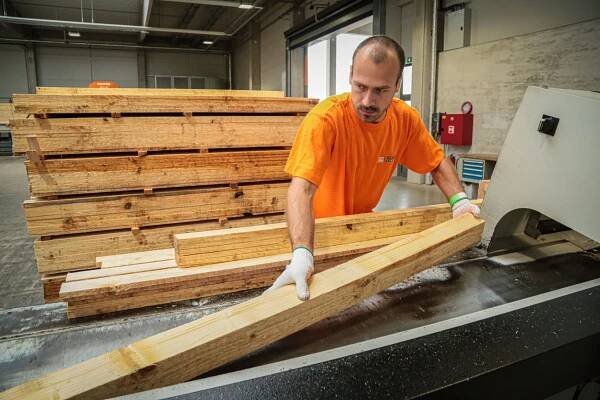 DĚLNÍK VE VÝROBĚ PALET - Nabídka práce | KLAUS Timber a.s., Nepomuk (Dvorec) (Plzeň-jih)