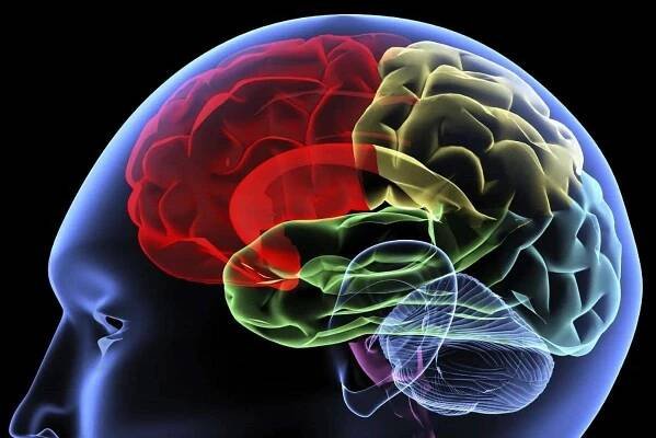 Melatonin Wirkung: Anti-Aging, Anti-Krebs und besserer Schlaf