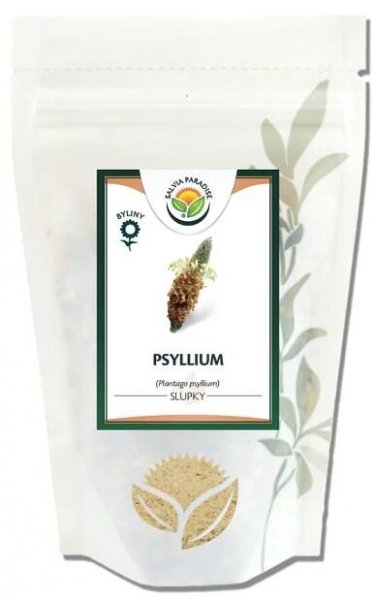 Psyllium Salvia Paradise