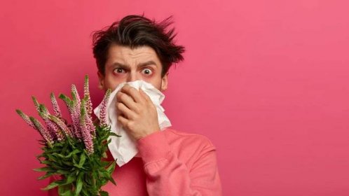 Ist das gesund?:Was hilft gegen meine Pollenallergie, Herr Berger?