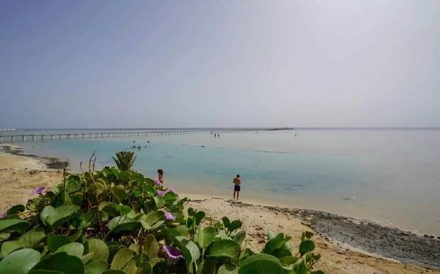 BLUE REEF RESORT - Marsa Alam - Egypt | Nejlepší zájezdy - last minute dovolená a hotely
