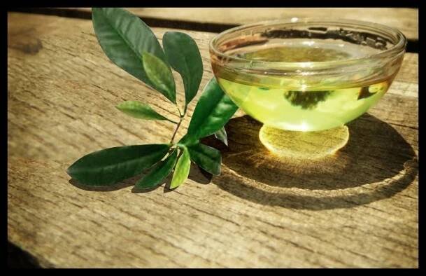 Fichema Tea Tree oil 100% čistý čajovníkový olej 500 ml
