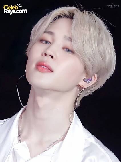 Park Ji- min career