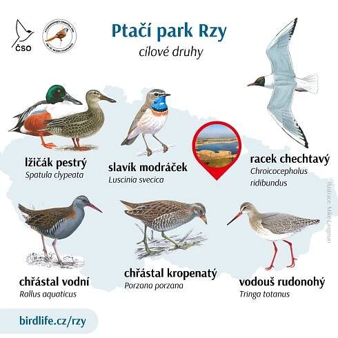 Avifauna parku a cílové druhy • Česká společnost ornitologická