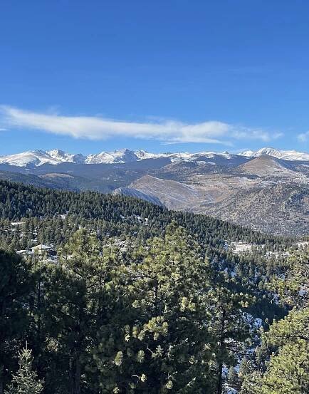 Snow-capped mountain view with snowy pine trees in foreground on gorgeous sunny day. Lost Gulch Overlook, Flagstaff Mountain, Boulder, Colorado.