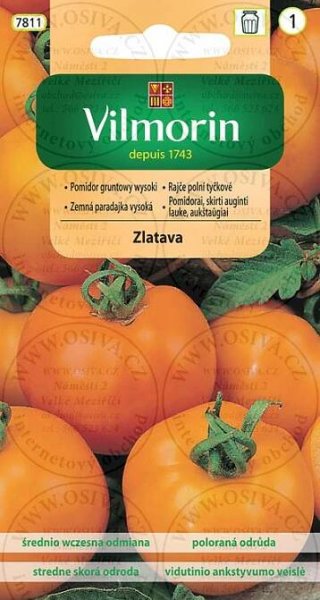 RAJČE TYČKOVÉ
