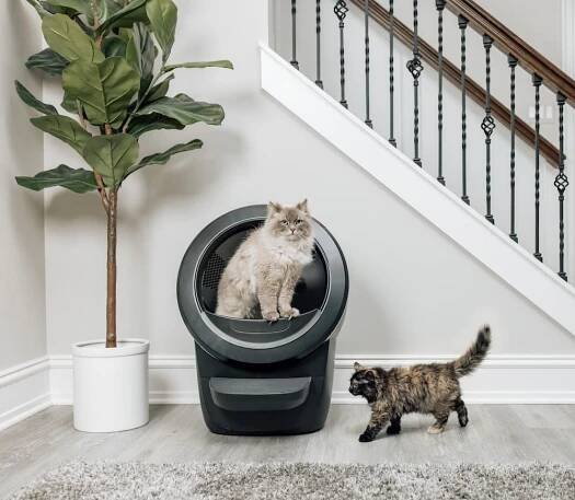 Multiple cats used to the presence and use of Litter-Robot