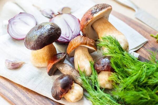 Nejlepší hříbková omáčka: Recept na neodolatelnou pochoutku vonící koprem