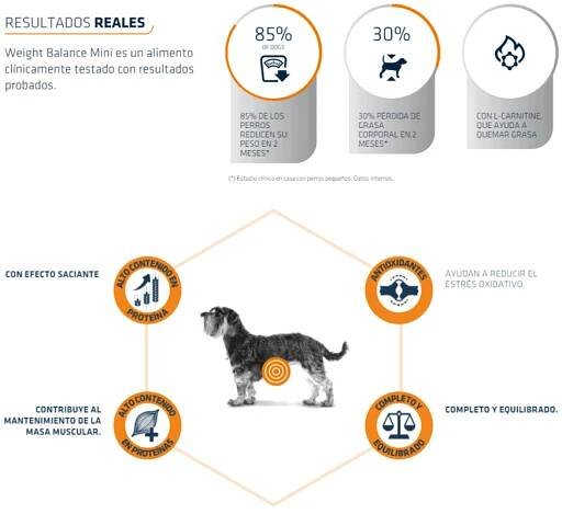 ADVANCE WEIGHT BALANCE MEDIUM/MAXI - Perro