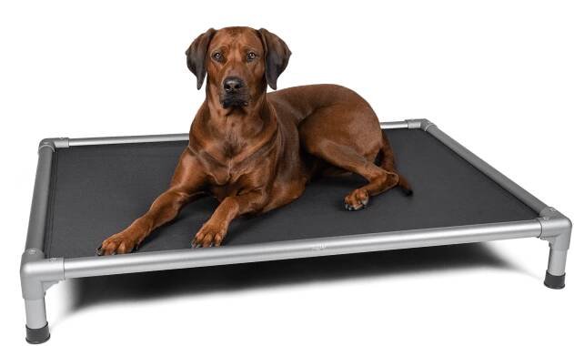 TrendPet BedKing S lehátko 75 x 55 cm černé