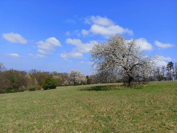 Výprava na Lučinu - Církevní základní škola ve Veselí nad Moravou