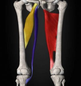 subchondrální kost ce pastile pentru durere în articulațiile picioarelor