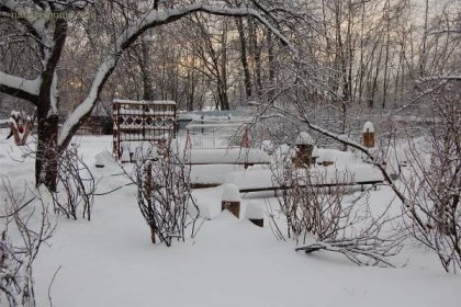 Winter Landscape: Garden and Landscape Design Ideas for Seasonal Beauty