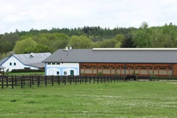 Koně a vysoké teploty. Ne příliš ideální kombinace – www.equichannel.cz