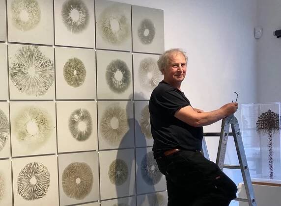 Chris Drury on ladder