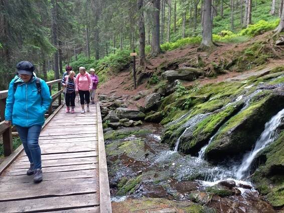 SONS ČR - Turistika: Jelení louky 