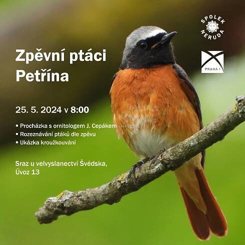 Zpěvní ptáci Petřína 2024 – Spolek Neruda