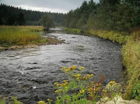 Křemelná u Frauenthalu