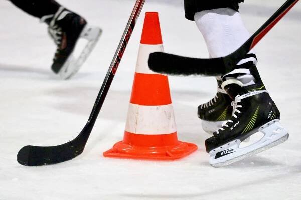 Jindřichův Hradec má nový hokejový klub, nahradil původní KHL... | České Budějovice