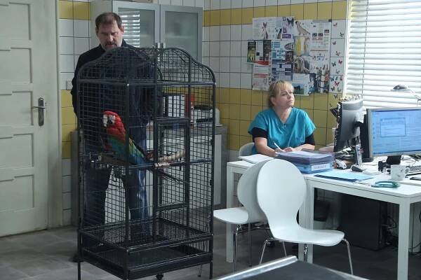 Ctirad Götz, Pavla Tomicová - Krejzovi - Hoří, má panenko - Z filmu