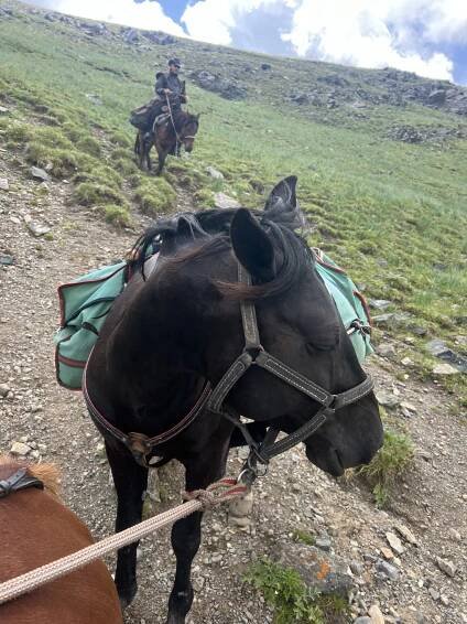 Short ride Kyrgyzstan 2024 | Horsemenistán