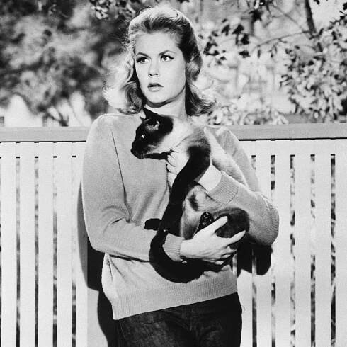 elizabeth montgomery