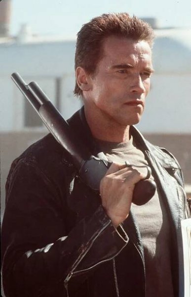Terminátor Arnold Schwarzenegger spojil síly s řetězcem Lidl: Jeho svaly plaší ptáky! Mění zbraně za nářadí