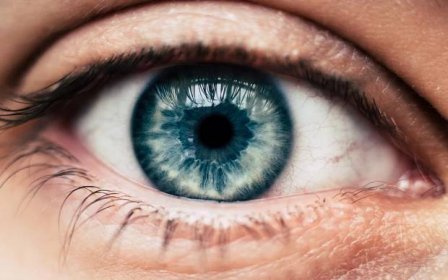 lidské modré oko - detailní záběr - stock snímky, obrázky a fotky