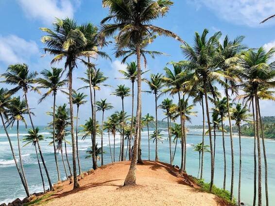 Mirissa, Sri Lanka: All You Must Know Before You Go (2025) - Tripadvisor