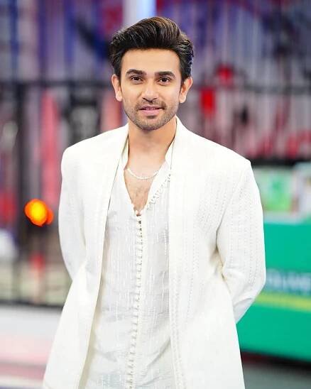 Ali Ansari, Biography, Career, Age, Family, Wife, Net worth, Drama List
