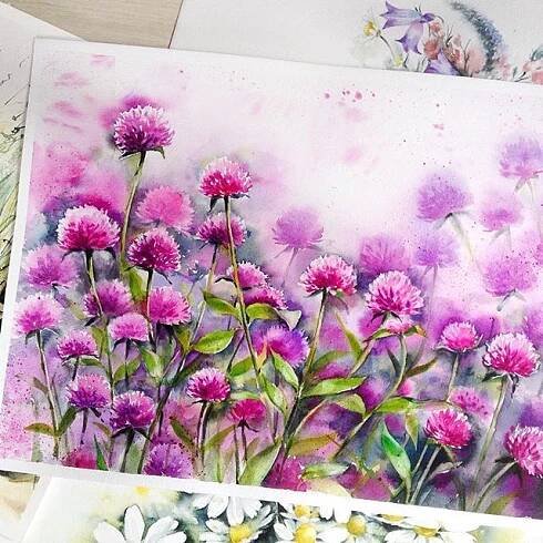 Red clover 🍀 клевер красный луговой 🍀 | Flower art, Flower drawing, Watercolor illustration