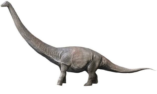 What was the world’s largest dinosaur?