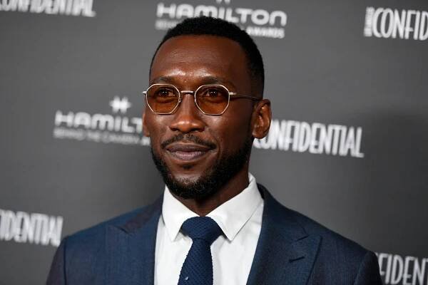 Mahershala Ali Says 'Leave Me Out of it' When Asked About 'Blade'