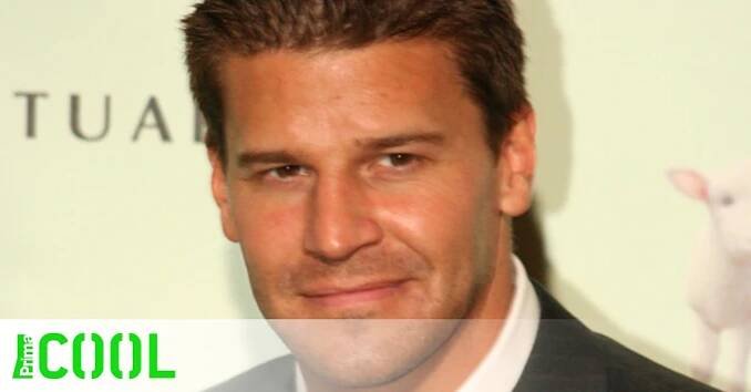 David Boreanaz