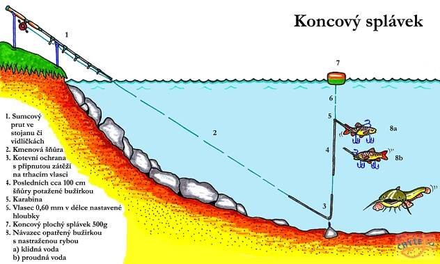 Speciální techniky lovu sumce: koncový splávek - Chytej.cz