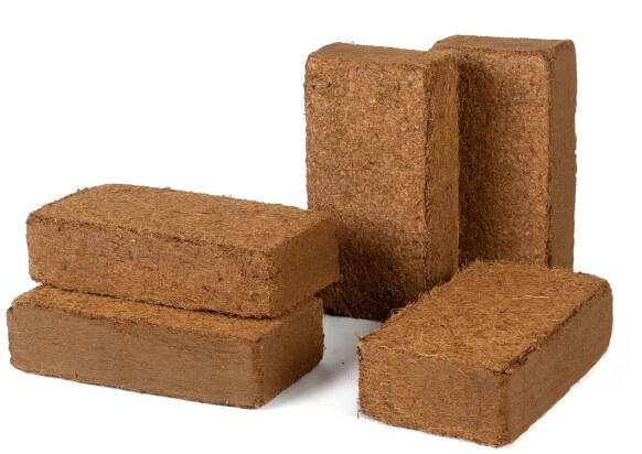 Grow Bricks