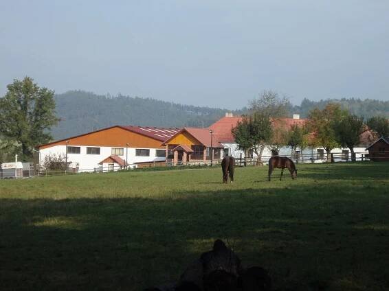 Letní dětský tábor u koní! V krásné přírodě nedaleko Prahy